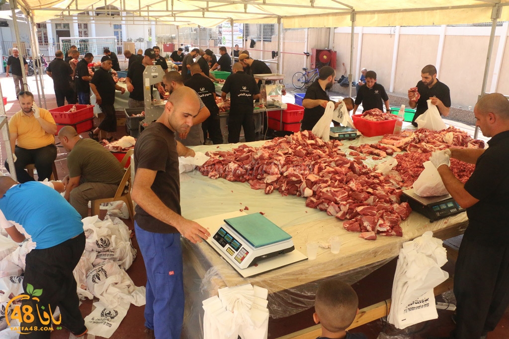 ada7y forthei (3).JPG